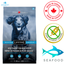 Lifetime - Grain Free Wild Caught Fish Dry Dog Food
