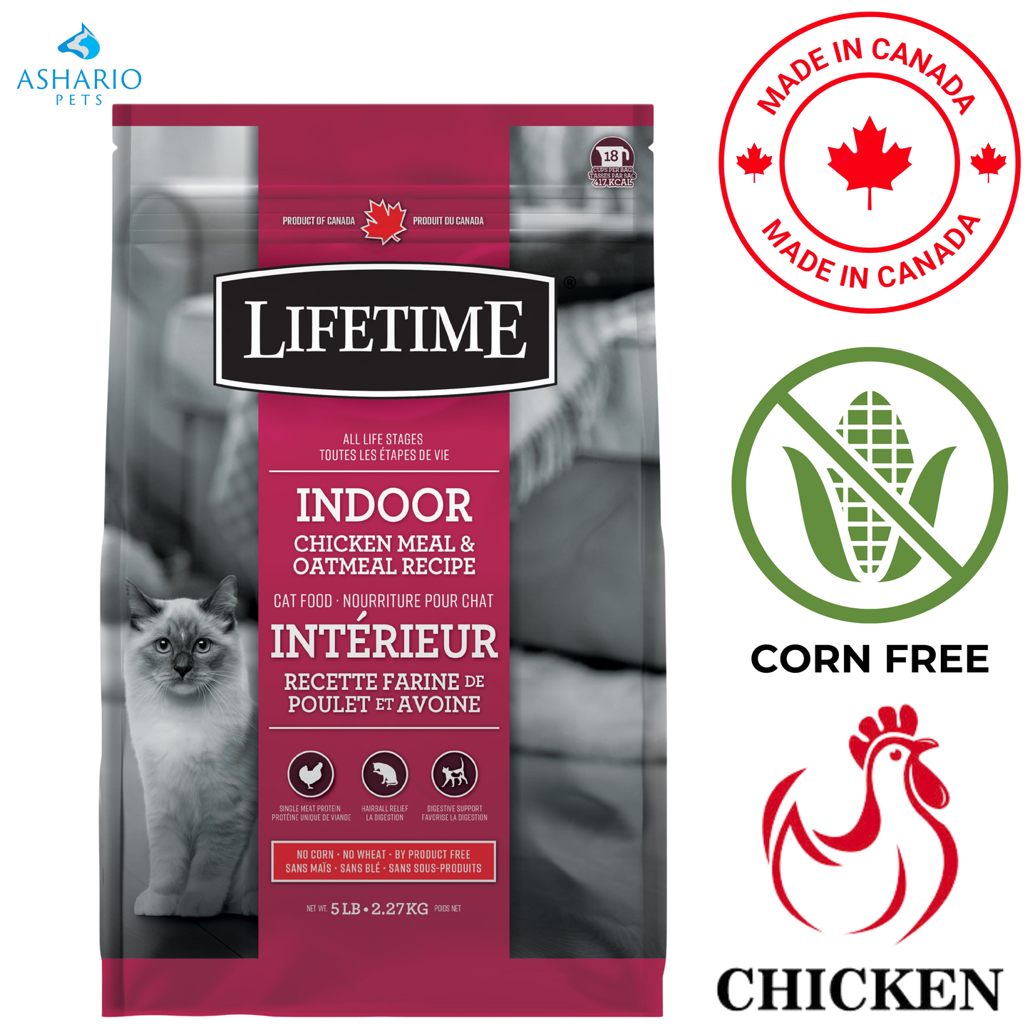 Lifetime - Indoor Chicken & Oatmeal Dry Cat Food — main