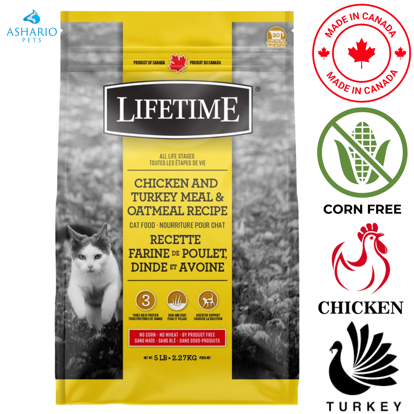 Lifetime - Nourriture pour chats à tous les stades de la vie, poulet, dinde et flocons d'avoine - 2,27 kg