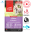 Orijen - Kitten Dry Cat Food — main