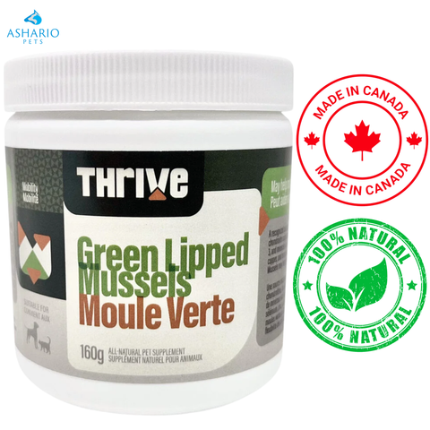 Thrive - Green Lipped Mussels Dog Supplements — main