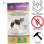 PoochPants - Sustainable Bamboo Disposable Dog Diapers — view 3