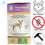 PoochPants - Sustainable Bamboo Disposable Dog Diapers — main