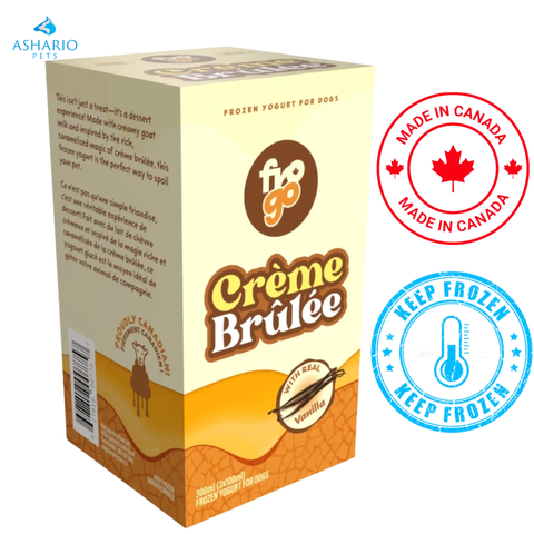 Big Country Raw - Frozen Goat Creme Brulee Dog Treats