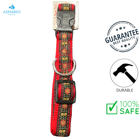 Loyal - Adjustable Nylon Dog Collar