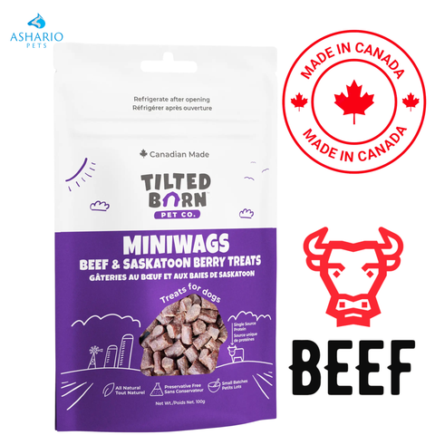 Tilted Barn - Canadian Beef & Saskatoon Berry MiniWags Dog Treats