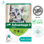 Advantage II - Flea & Tick Medicine — main