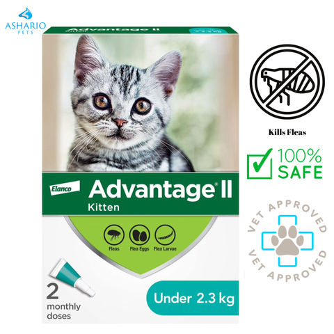 Advantage II - Médicament contre les puces et les tiques - Chatons < 2,3 kg