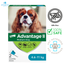 Advantage II - Flea & Tick Medicine
