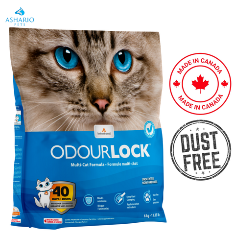 OdourLock - Litière agglomérante pour chat ultra premium non parfumée - 6 kg
