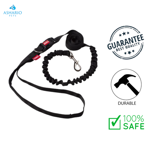 BuD'z - Running Dog Leash — main