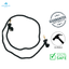 Dexypaws - Laisse pour chien en corde de coton mains libres noire