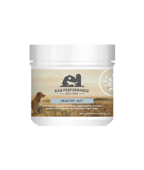 Raw Performance Healthy Gut Dog Supplement, 16 Oz, supports digestive health with premium ingredients. Available at pet stores in North York.	