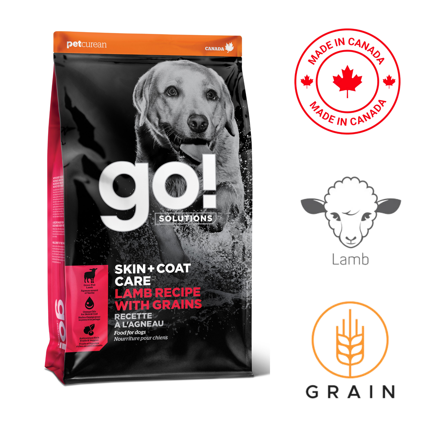 Go! Solutions - Skin + Coat Care Lamb With Grains Dry Dog Food