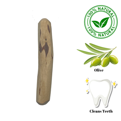Zaytoon - Olive Wood Dog Chew - Small