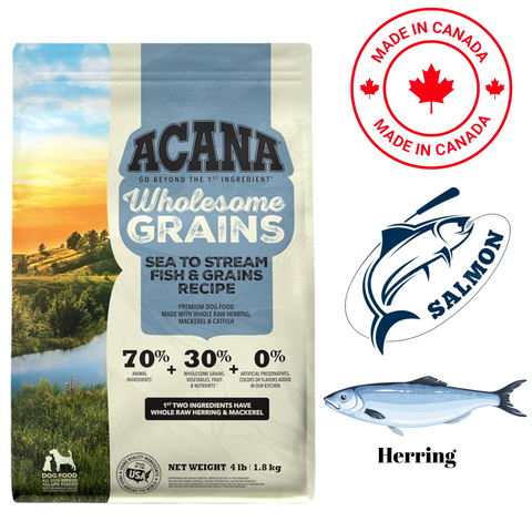Acana healthy grains dog food with sea to stream fish and grains recipe featuring salmon and herring