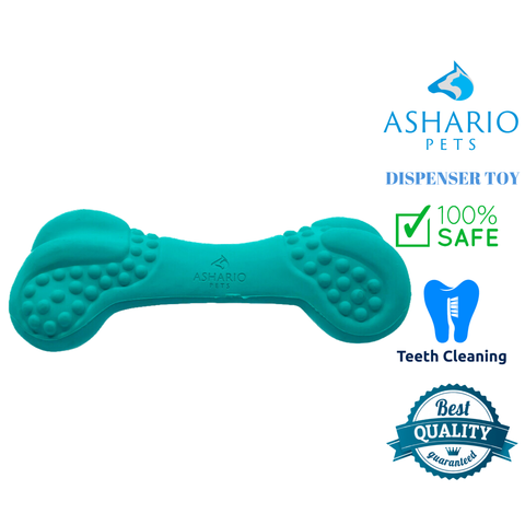 Ashario dog bone chew toy in teal with textured surface for teeth cleaning and safe chewing