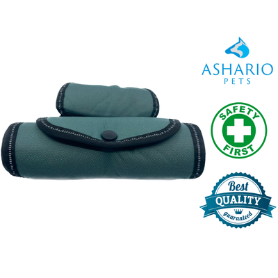 Ashario pets dog large walking assist strap in green with safety and quality badges