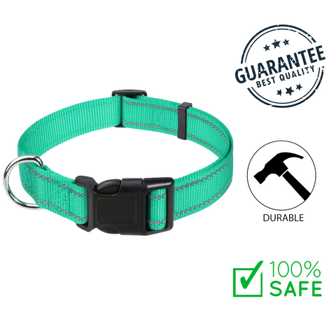 Ashario pets medium adjustable nylon dog collar in teal with durable buckle and metal ring