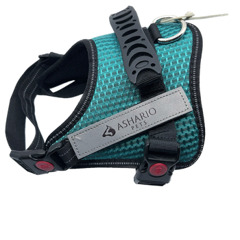 Ashario Pets no-pull harness for small dogs in teal with reflective strap and secure buckle