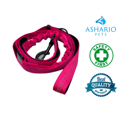 Ashario pets red retractable car traction belt for pets designed for safety and durability