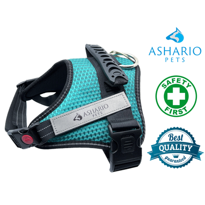 Ashario pets reflective dog harness no-pull medium in teal with adjustable straps and safety features