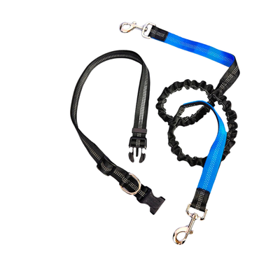 Ashario Pets reflective pet running leash in black and blue with adjustable collar and metal clips