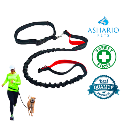 Ashario pets reflective running leash for dogs with padded handle and safety features