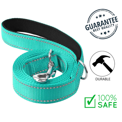 Ashario pets reflective small dog leash in teal with durable clasp and padded handle for safety