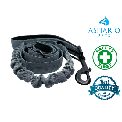 Ashario pets saferide pro car traction belt in gray with safety first and best quality badges