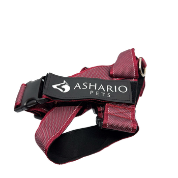 Ashario Pets small lightweight dog harness summer in red with adjustable straps and durable buckle