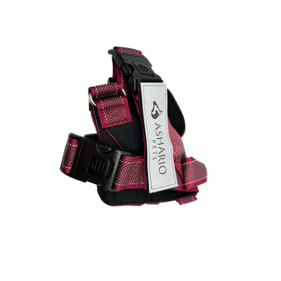 Ashario pets small lightweight dog harness summer in red with adjustable straps for comfort