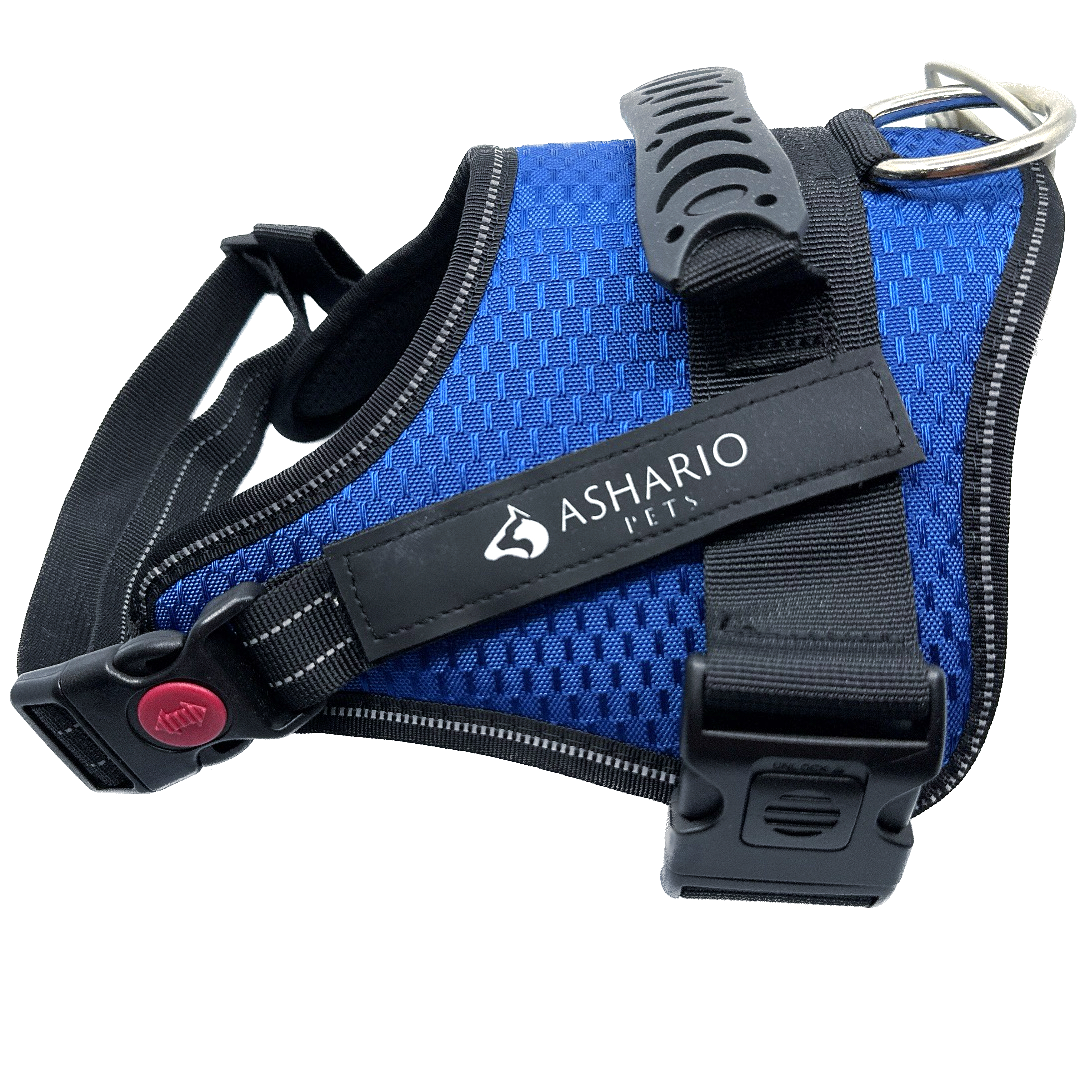 Ashario Pets tactiharness Lite large harness in blue with adjustable straps and sturdy buckles for dogs