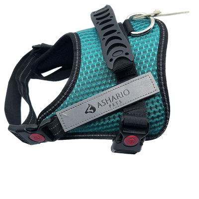 Ashario Pets tactiharness Lite large harness in teal with black straps and secure buckles for dogs