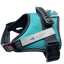 Ashario Pets tactiharness Lite large harness in teal with black straps and secure buckle for dogs