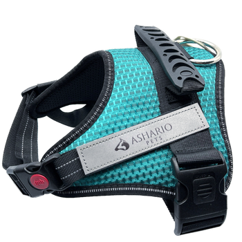 Ashario Pets tactiharness Lite large harness in teal with black straps and secure buckle for dogs