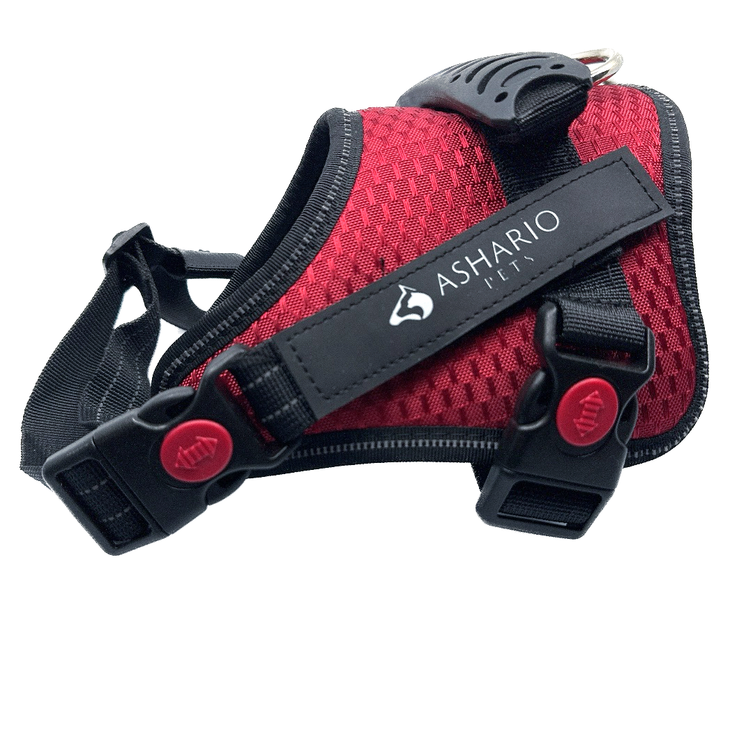 Ashario Pets tactiharness Lite large harness in red and black for dogs with adjustable straps and breathable mesh
