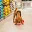 Dog playing with Ashario teeth cleaning ring surrounded by colorful pet food bags