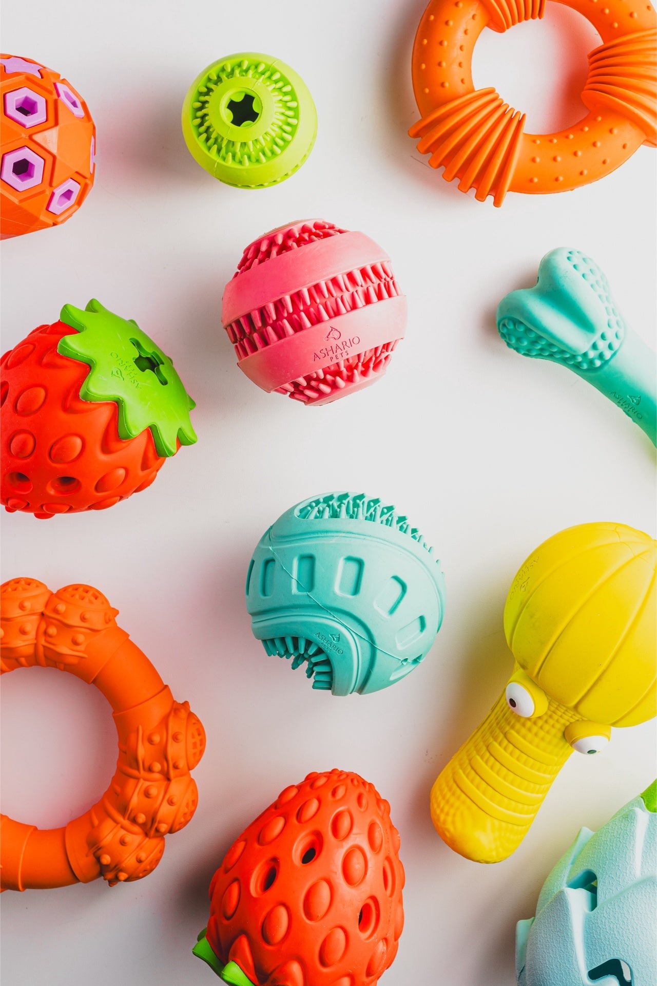 Variety of colorful dog toys including the Ashario teeth cleaning ring for playful pups