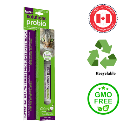 Baci cat intestinal health paste probiotic supplement for feline digestive wellbeing and intestinal issues
