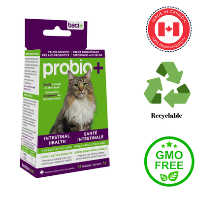 Baci probio intestinal health for cats supplement box with image of a cat on green and purple packaging
