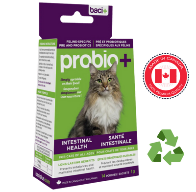 Baci probio intestinal health for cats feline-specific pre and probiotics supplement with long-lasting benefits