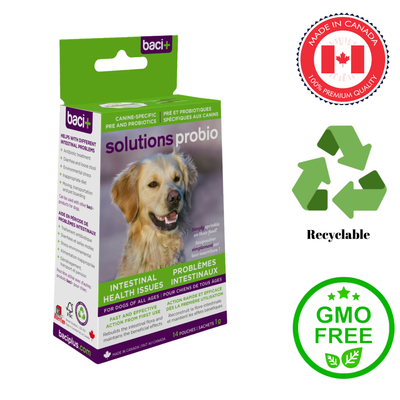 Baci probiotic solution for dogs box featuring intestinal health support with GMO free and recyclable packaging