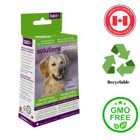 Baci+ - Solutions Probio Intestinal Health For Dogs & Cats — main
