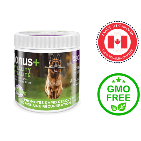 Baci vitality supplement for adult dogs jar with image of dog and labels for GMO free and made in Canada