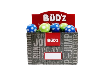 BuD'z budz small lime green and blue dog toy set with three balls in a branded display box