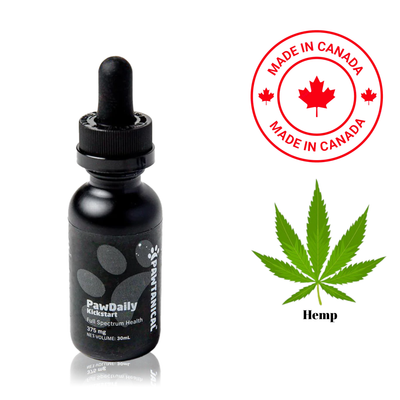 Pawtanical - PawDaily Hemp Oil Cat
