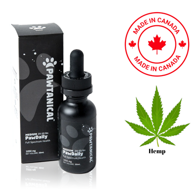 Pawtanical - PawDaily Hemp Oil Dog - Medium