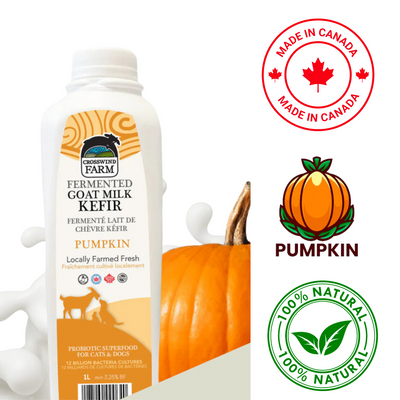 Crosswind Farms Goat Milk Kefir Pumpkin for pets in a white bottle with a pumpkin graphic
