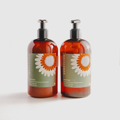 Dandylion - Gentle Cleansing Dog Shampoo - 473 mL 2